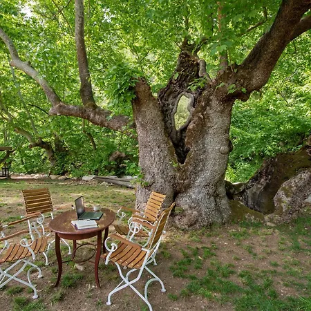 Yusalis Garden Lodge Kemer