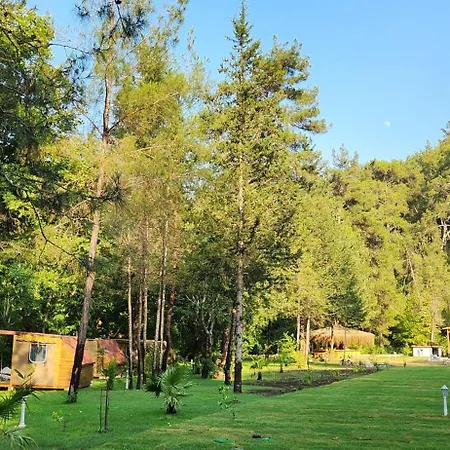 Domek letniskowy Yusalis Garden *