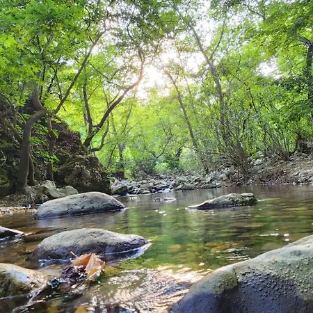 Domek letniskowy Yusalis Garden *
