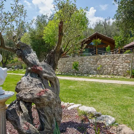 Yusalis Garden Domek letniskowy *